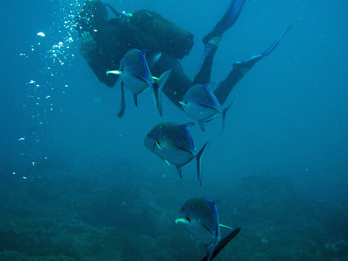 Sodwana Bay