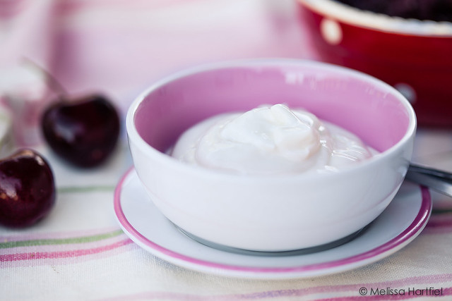 A bowl  of plain yogurt
