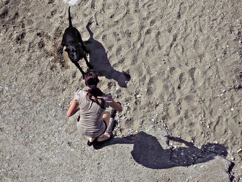 summer woman dog water shadows notmydog
