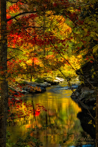 fall landscape nikon tennessee d70s nik cherokeenationalforest everydaymiracles johnchouse