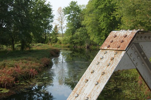 bridge ontario reflection tree river rust tweed