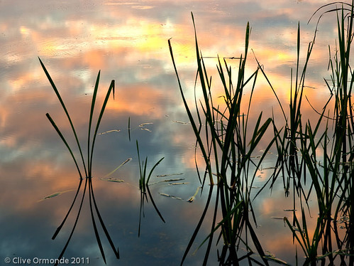 england lake sunrise reflections reeds berkshire 2011 blurbbooks olympuse3 outinallweathers charvilcountrypark