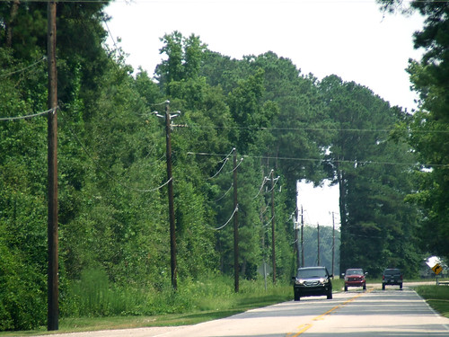road trees green cars lines hole trucks lakeview