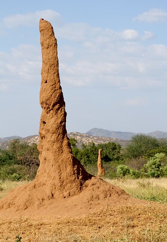 africa omovalley ethiopia mound termite anthill eastafrica snnpr southernnationsnationalitiesandpeoplesregion