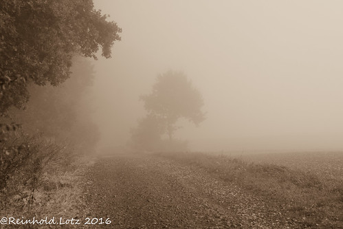 nebel landschaften romrod hessen deutschland de coth5