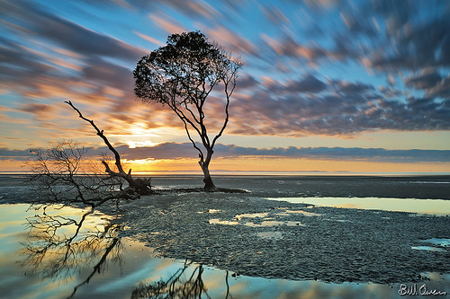ocean sea sky reflection tree water clouds sunrise dawn sand nikon mud australia mangrove lee queensland nikkor filters rrsbh55 1735mmf28 singhray d700 bigstopper