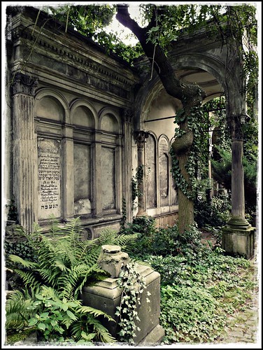 art abandoned overgrown cemetery grave graveyard tomb ruin poland polska forgotten jewish forsaken decayed cmentarz wrocław żydowski