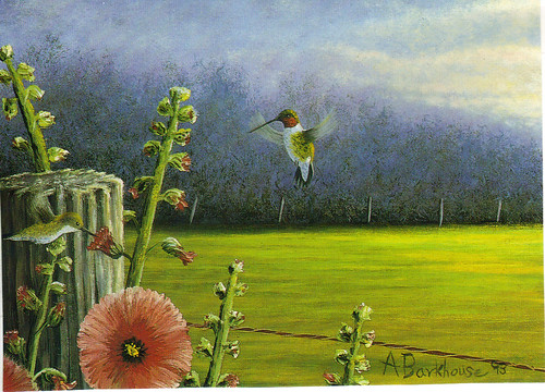 birds hummingbird stayingnearflowers