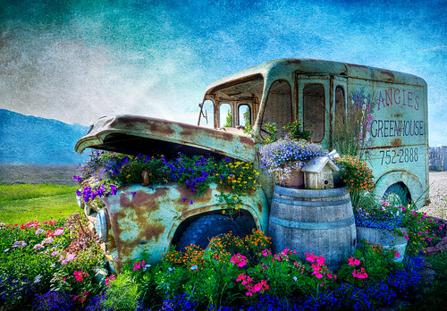 flowers painterly texture truck nikon montana columbia falls angies legacy tistheseason motat d700 tatot magicunicornverybest delveryvan