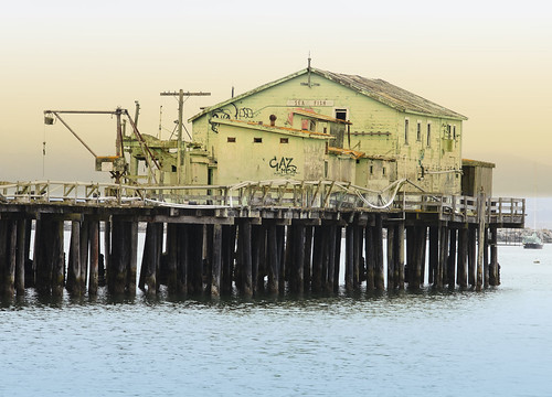 ca usa abandoned northerncalifornia harbor pier dock abandon norcal halfmoonbay princetonbythesea fisheries commericalfishing nrpad