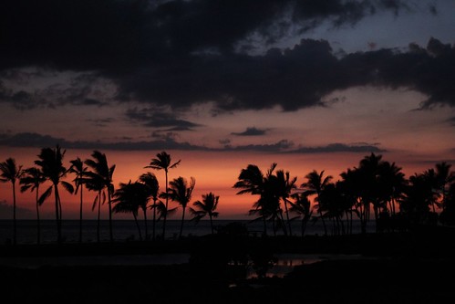 ocean trees sunset sea vacation sky orange beach water night clouds hawaii view palm palmtrees 2012 waikoloa