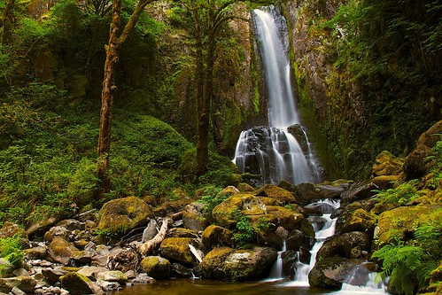 water oregon creek forest waterfall nw northwest kentucky falls pacificnorthwest lower mapleton siuslaw kentuckyfalls waterfallls