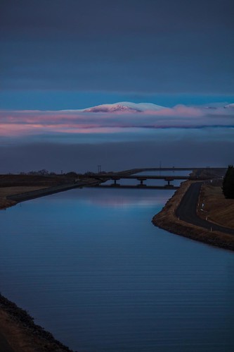 newzealand fog sunrise bridges canterbury nz channel lakepukaki lonetree pukaki lakebenmore reflectionspukakicanterburynewzealand