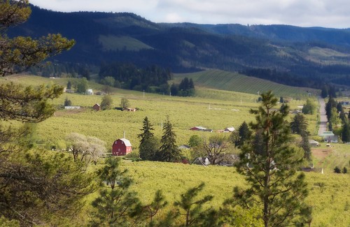 mountains green oregon barn country valley hoodriver panoramapoint canonef28135mmf3556is