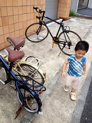 朝散歩 (2012/8/29)