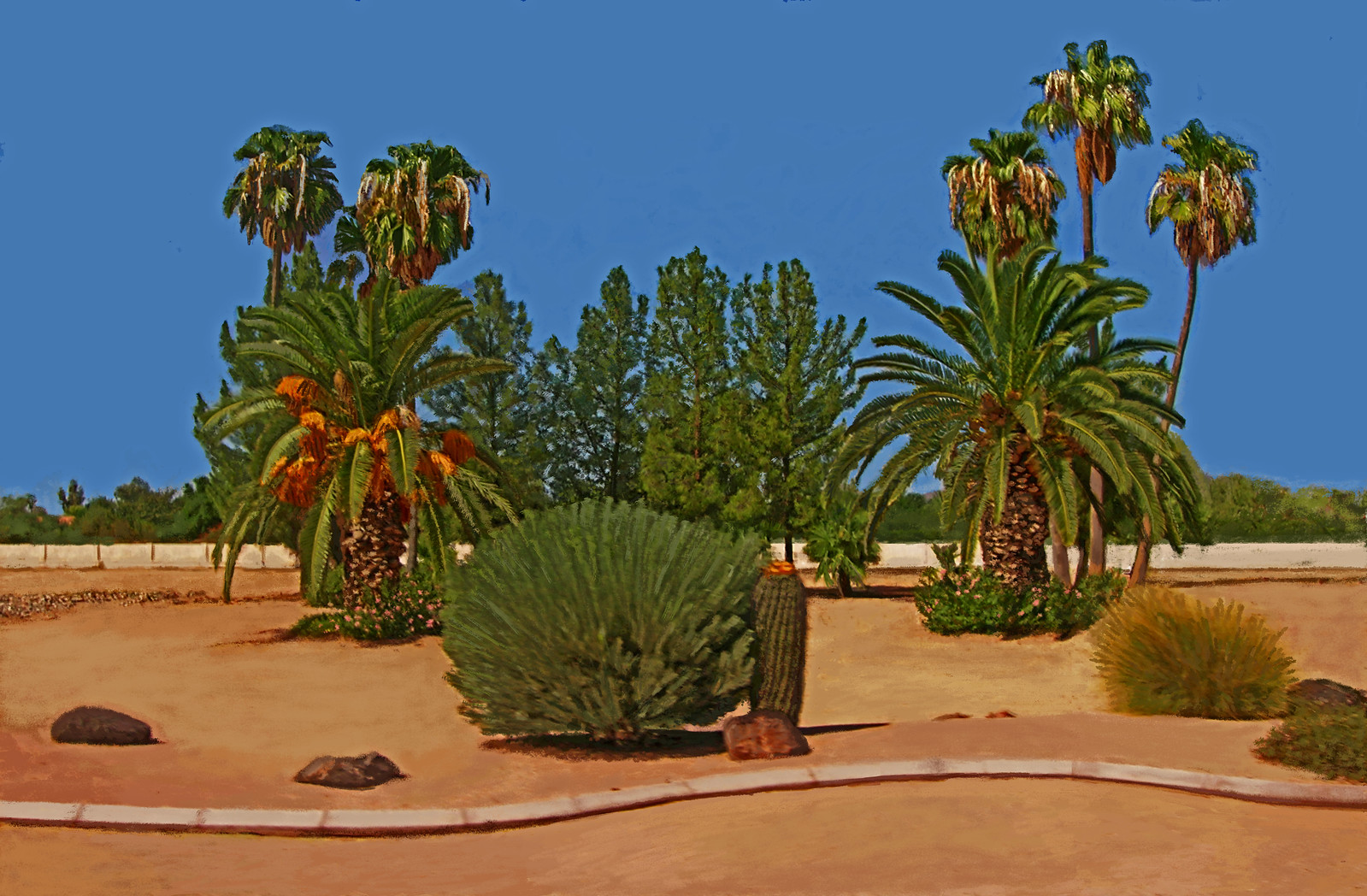 Phoenix Palms, 2005