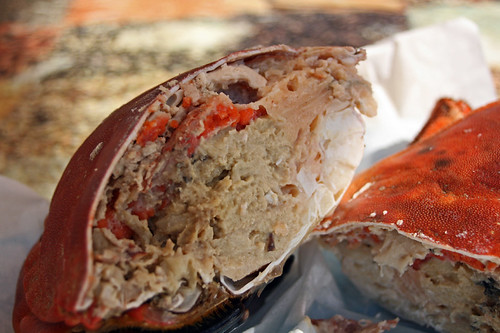Carrelet sauce au crabe
