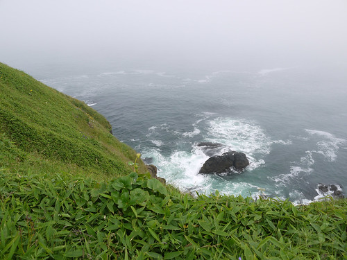 sea sky lighthouse green grass fog landsend cape marsh