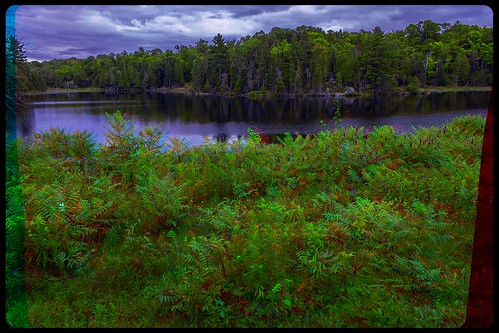 north america canada province ontario provincialpark killbear rabylake lake river creek tree plants forest woods outback backcountry anaglyph anaglyph3d redcyan redgreen optimized anaglyphic anabuilder 3d 3dphoto 3dstereo 3rddimension spatial stereo stereo3d stereophoto stereophotography stereoscopic stereoscopy stereotron threedimensional stereoview stereophotomaker stereophotograph 3dpicture 3dglasses 3dimage twin canon eos 550d yongnuo radio transmitter remote control synchron in synch kitlens 1855mm tonemapping hdr hdri raw 3dframe fancyframe floatingwindow spatialframe stereowindow window