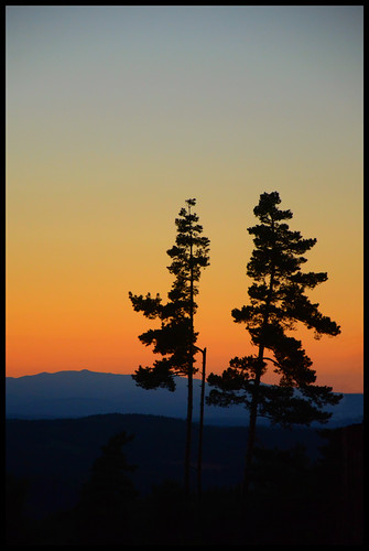 sunset silhouettes arbres coucherdesoleil cantal planèze