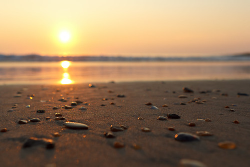 ocean morning usa sun shells beach water sunrise us nc sand rocks waves unitedstates unitedstatesofamerica northcarolina places outerbanks corolla obx locations ef2470f28lusm