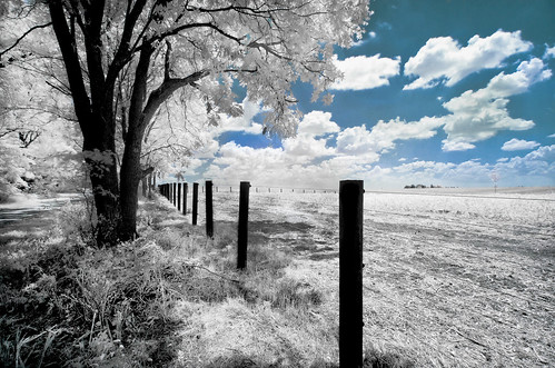 road sky usa white color tree nature field grass leaves clouds rural photoshop fence landscape ir photography post image pentax sigma photograph infrared 2012 k5 hoya sigma1020mm r72 kohlbauer hardpancom marckohlbauer