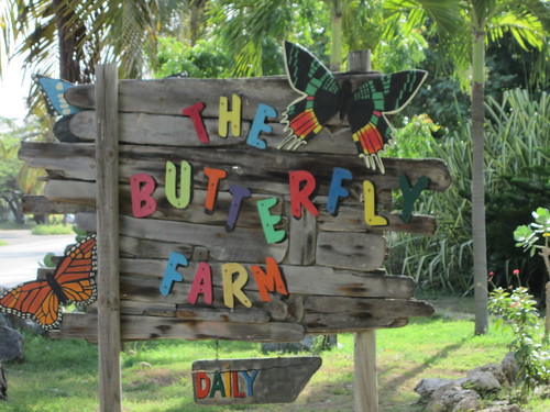 Butterfly Farm sign: cool sign 