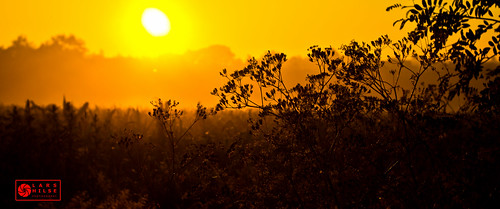 morning fog sunrise glory sony larshilse nex7