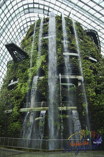 Gardens by the Bay, Singapore