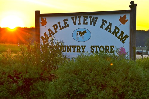 cornfield nikon highway farm northcarolina chapelhill mapleviewfarm d5100