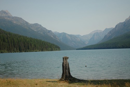 park lake montana glacier national bowman