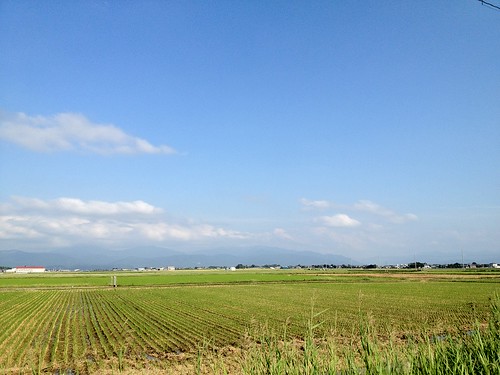 road sky field japan farm 日本 道路 空 福井 田んぼ 畑 日本海 hukui