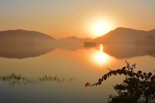 water palace lake lago india palacio amanecer sunrise agua flor