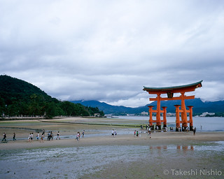 大鳥居へ向かう人々 / The people going to O-torii