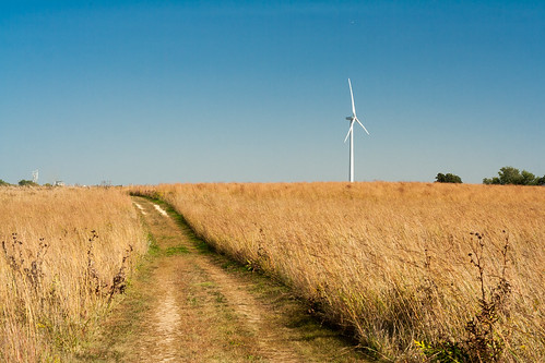 fall windmill minnesota wind path arboretum trail prairie mn turbine carleton northfield latesummer carletoncollege earlyfall cowlingarboretum