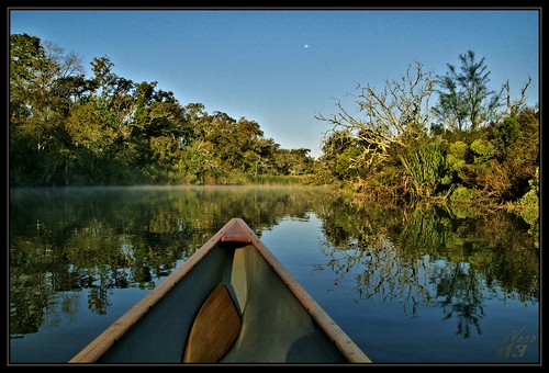 water scenery texas bayou pasadena canoeing paddling horsepenbayou wanam3