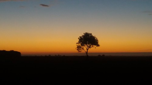 daybreak morning tree explored lincolnshirefens sunrise dawn