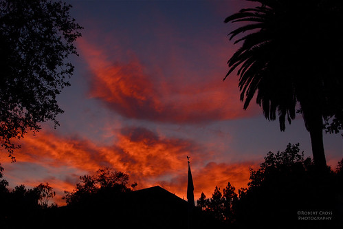 california sunset silhouette atardecer la losangeles flag olympus palmtrees anochecer omd puestadelsol coucherdusoleil sunsetwednesday microfourthirds quartasunset 1250mmf3563mzuiko
