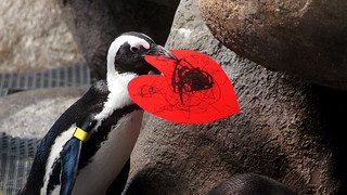 Valentine's Penguins