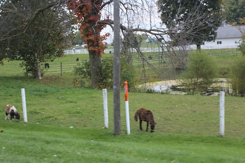 Day 60: Driving east into Amish and Mennonite country.