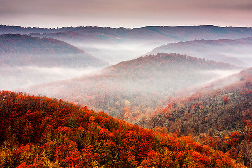 autumn mist mountain fog forest day bulgaria strandzhamountain pwfall