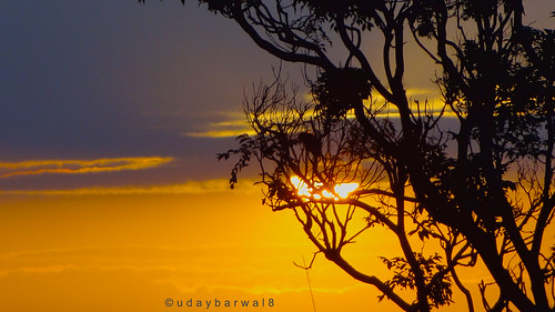 sunset orange sun india tree silhouette yellow clouds sunrise asia earth uday himachal bature udaybarwal8