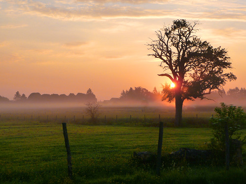 morning france nature sunrise landscape dawn burgundy meadow nitry