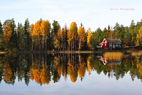 autumn trees red lake reflection fall water colors norway forest reflections season outdoors cabin colours hiking sony september redhouse explore colourful tarn forestlake redcabin sonydslra300
