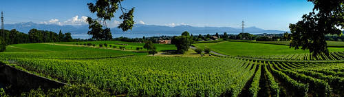 panorama landscape switzerland europa europe fuji suisse suiza pano vineyards fujifilm xpro1 vufflenslechâteau cantóndevaud fujixpro1