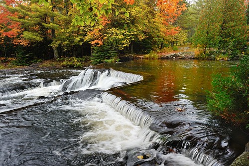autumn trees usa color reflection fall nature leaves creek river landscape waterfall midwest stream michigan scenic rapids upperpeninsula cascade bondfalls johnmccormick michigannutphotography