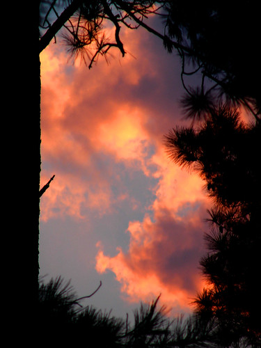 trees sunset sky silhouette clouds skyscape colorful