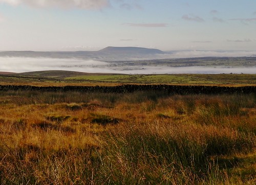 mist grass wall clouds landscape yorkshire hills scenary fields dales