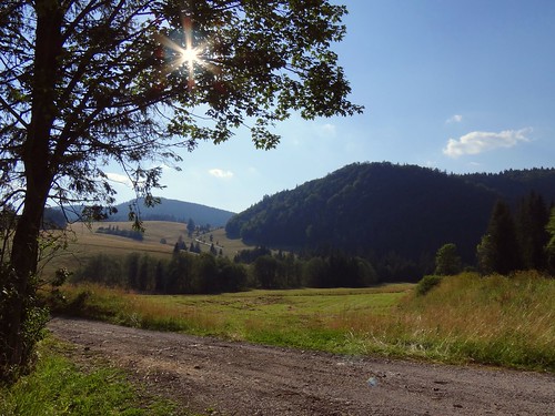 summer sun mountains tree nature sunshine landscape sand view path sunny hills slovakia tatry tatras