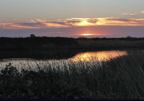 northerncalifornia sunrise wetlands slough equinox suisuncity solanocounty suisunmarsh